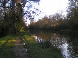 Le canal de Roanne a Digoin